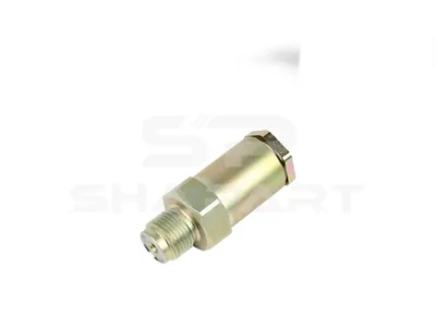 3.20082 Pressure limiting valve, Common Rail