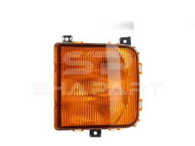 3.31042 Turn signal lamp, 24 V, P21W