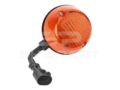 3.31054 Turn signal lamp, lateral, 24 V, P21W