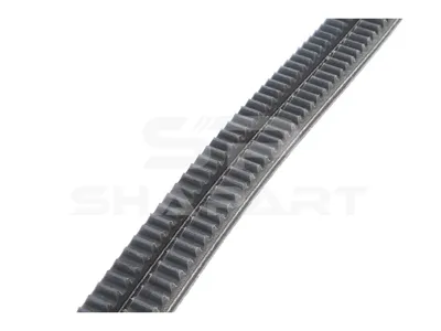 3.34274 Banded v-belts, L: 1325 mm, W: 13 mm, AVX13X1325 banded, 2 belts