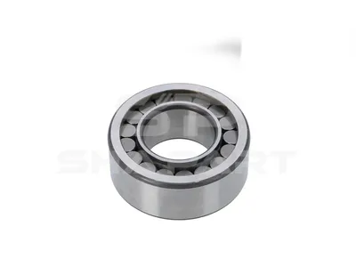 3.50089 Cylinder roller bearing