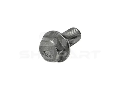3.59120 Screw, M14 x 1,5, Lu: 30 mm, SW: 19, 10.9