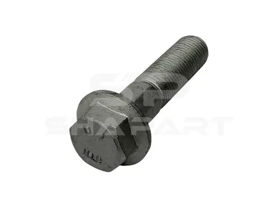3.59121 Screw, M14 x 1,5, LTh: 40 mm, Lu: 60 mm, SW: 19, 10.9