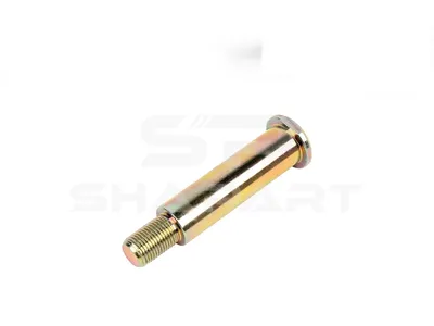 3.67621 Bolt, D: 22 mm, M16 x 1,5, LTh: 25 mm, Lu: 100 mm, SW: 27