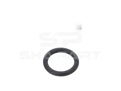 3.89515 O-ring, d: 19 mm, S: 3.5 mm