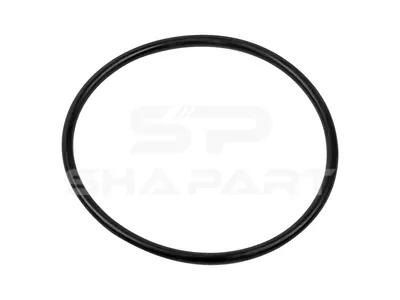 3.89518 O-ring, d: 102 mm, S: 5 mm