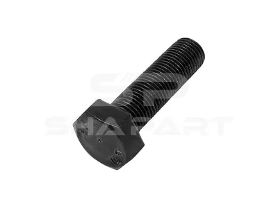 3.89610 Screw, M14 x 1,5, SW: 21, L: 50 mm, 10.9, DIN 961