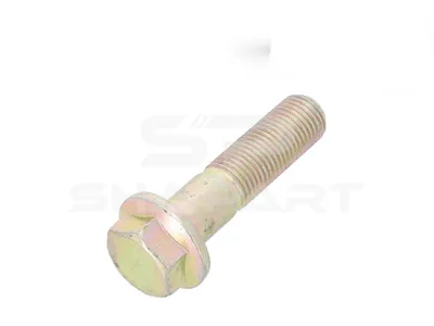 3.89613 Screw, M14 x 1,5, SW: 19, L: 55 mm, 10.9