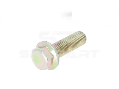 3.89620 Screw, M14 x 1,5, Lu: 45 mm, 10.9