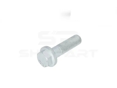3.89624 Screw, M16 x 1,5, LTh: 40 mm, Lu: 60 mm, SW: 22, 10.9