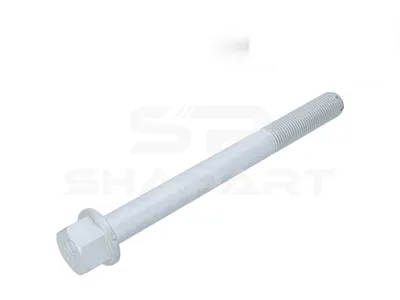 3.89648 Screw, M20 x 2, L: 210 mm