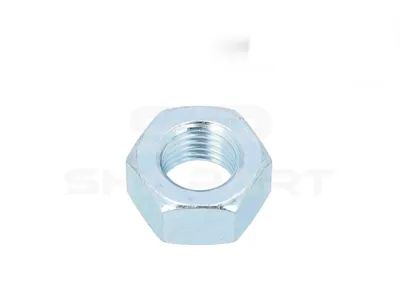 3.89704 Nut, M12 x 1,5, 10