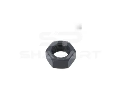 3.89707 Nut, M20 x 2, 10