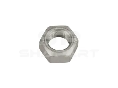 3.89709 Nut, M16 x 1,5, 10