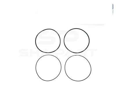 3.90010 Seal ring kit