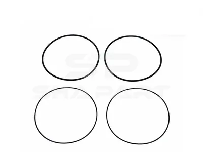 3.90011 Seal ring kit