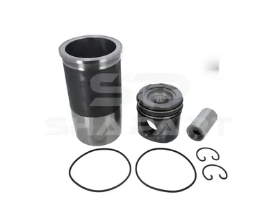 3.90133 Piston with liner, D: 120 mm