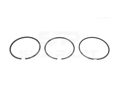 3.90231 Piston ring kit