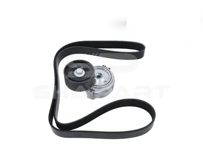 3.93011 Belt tensioner, complete, with multiribbed belt, 8 PK, L: 1580 mm