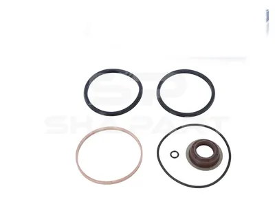 3.95102 Seal ring kit, shifting cylinder