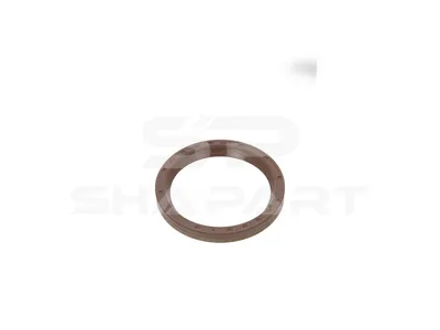4.00184 Oil seal
