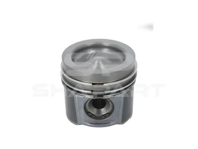 4.00463 Piston