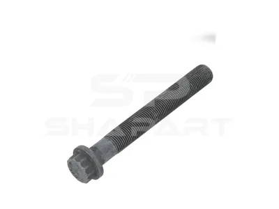 4.00695 Crankshaft screw