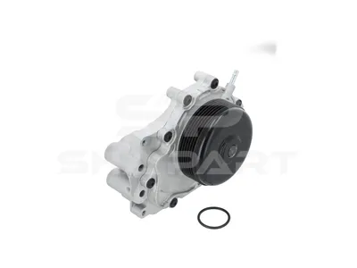 4.00697SP Water pump