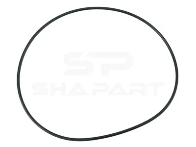 4.20005 O-ring, d: 255 mm, S: 5 mm