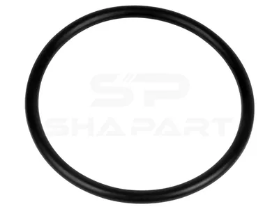 4.20023 O-ring, d: 60 mm, S: 4 mm