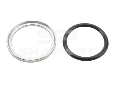 4.20033 Thrust ring / o-ring, d: 20.3 mm, d1: 22.2 mm, D1: 29 mm, S: 2.4 mm, H1: 2.5 mm