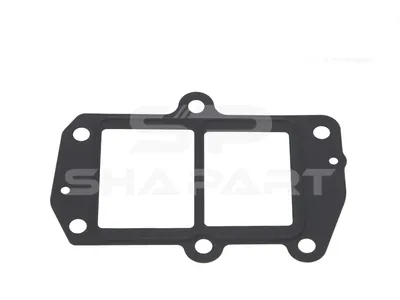 4.20052 Gasket, exhaust gas recirculation