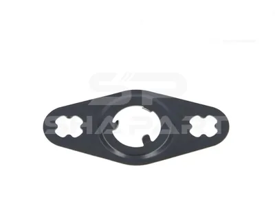 4.20055 Gasket, oil return