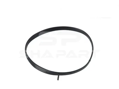4.20061 Seal ring, intake manifold