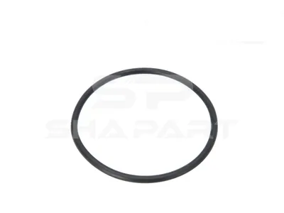 4.20062 Seal ring, suction hose