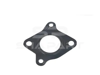4.20066 Gasket, exhaust gas recirculation