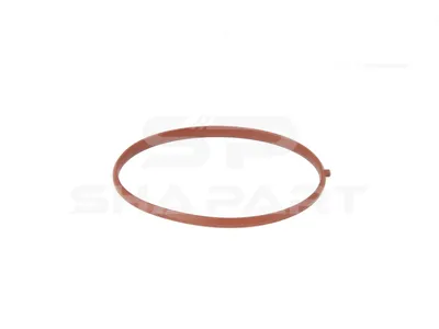4.20067 Gasket, intake manifold