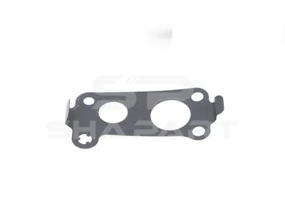 4.20069 Gasket, exhaust gas recirculation