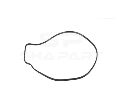 4.20088 Gasket