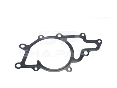 4.20097 Gasket, water pump