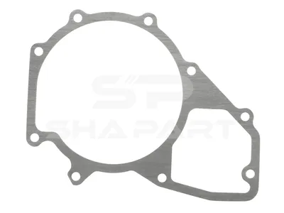 4.20104 Gasket, water pump