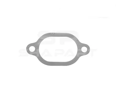 4.20105 Gasket, water pump