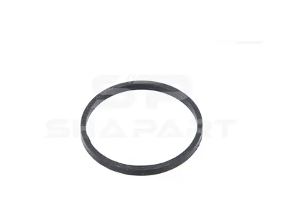 4.20112 Gasket, thermostat