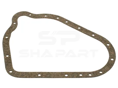 4.20116 Gasket, timing case cover