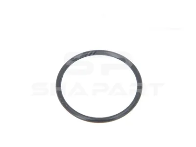 4.20130 Gasket, thermostat housing