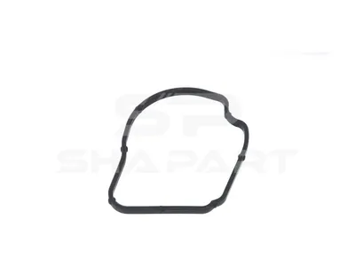4.20131 Gasket, thermostat housing