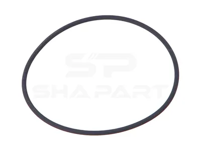 4.20134 O-ring, d: 100 mm, S: 3.1 mm