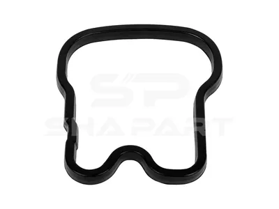 4.20143 Valve cover gasket