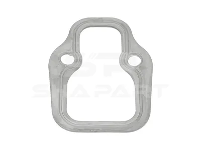 4.20213 Gasket, intake manifold