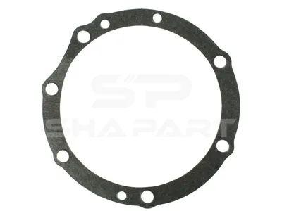 4.20246 Gasket, bearing housing
